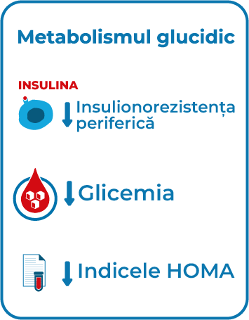 3.1 Metabolism glucidic