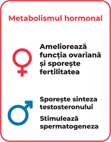 3.3 Metabolism hormonal